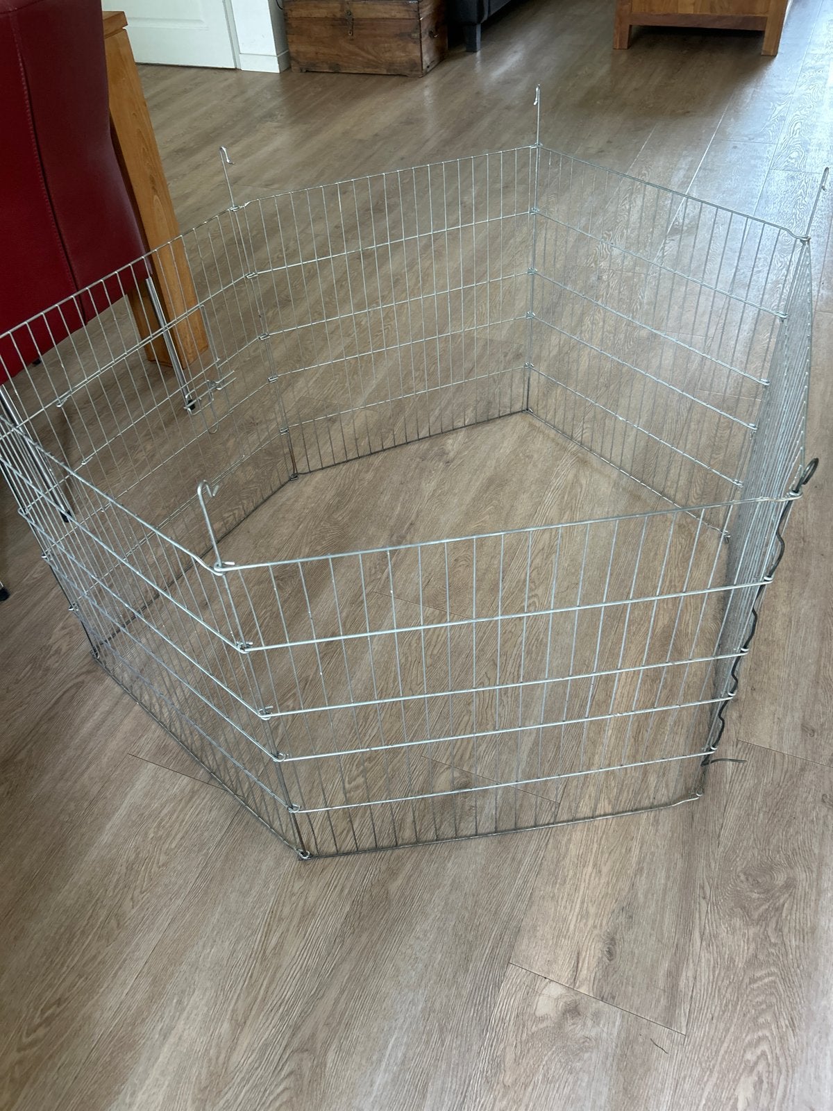 Puppyren, Dieren en Toebehoren, Ophalen
