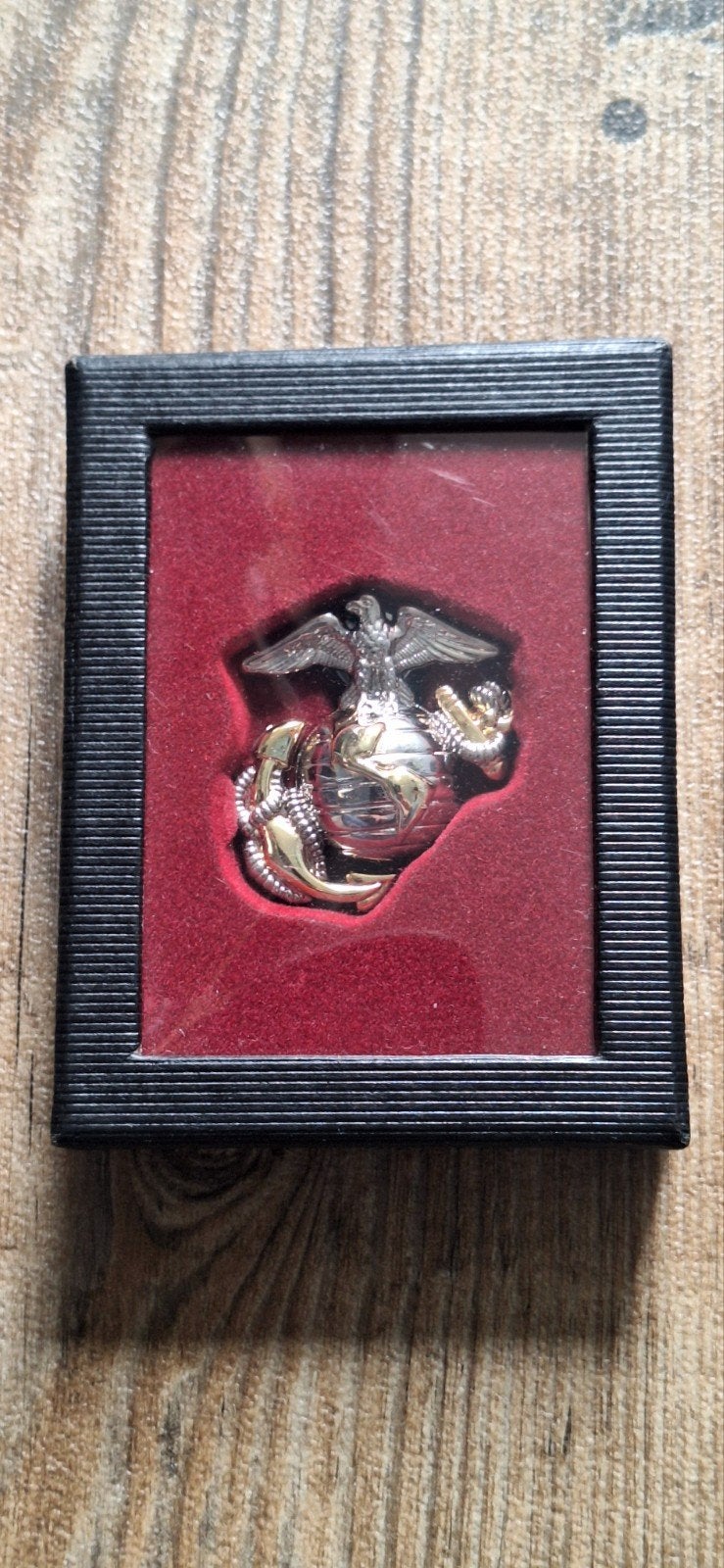 USMC Marine Corps EGA Insigne (Replica) in Displaydoosje, Ophalen of Verzenden, Marine, Amerika, Embleem of Badge