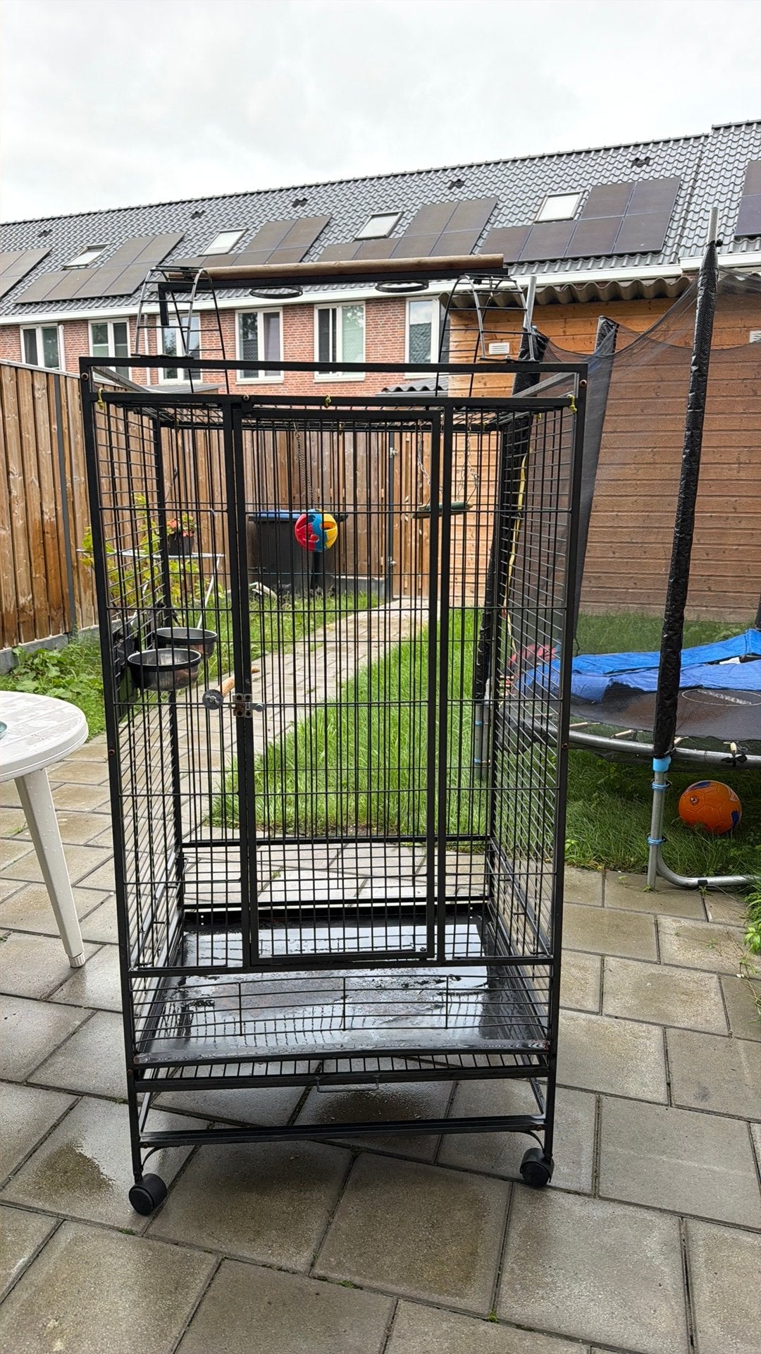 Papegaai vogel kooi, Dieren en Toebehoren, Ophalen, Gebruikt, Metaal, Vogelkooi