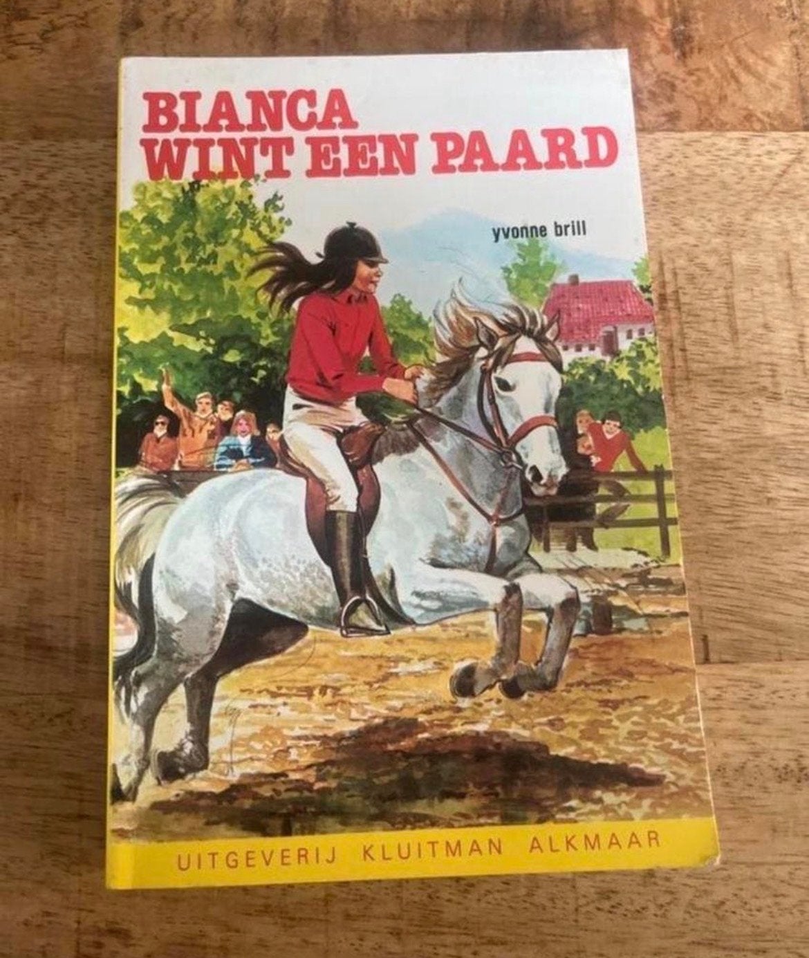 Bianca Wint Een Paard - Yvonne Brill, Boeken, Ophalen of Verzenden, Gelezen