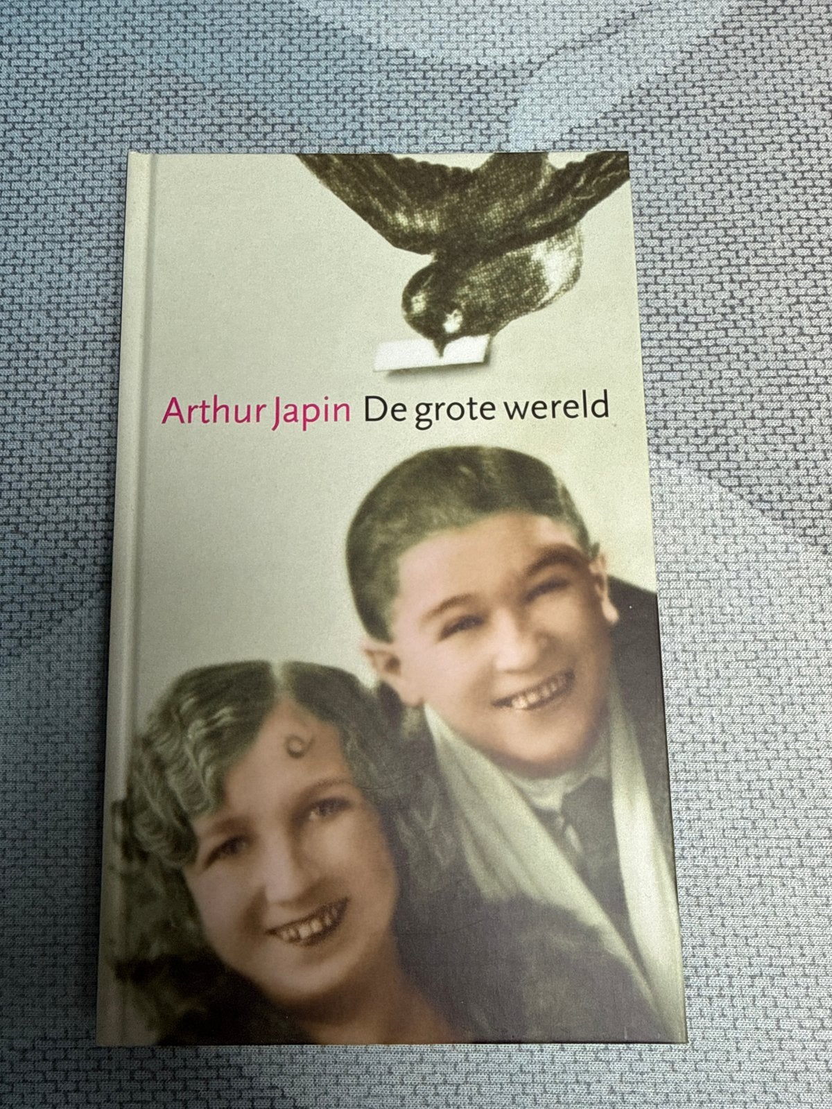 Arthur Japin - De grote wereld (gesigneerd), Boeken, Ophalen of Verzenden, Zo goed als nieuw