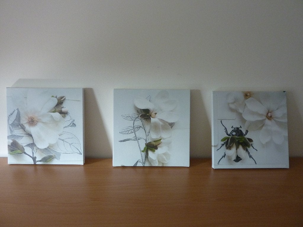 3 x schilderij bloem wit Ikea Klövsjö, Minder dan 50 cm, Verzenden, Zo goed als nieuw, Schilderij