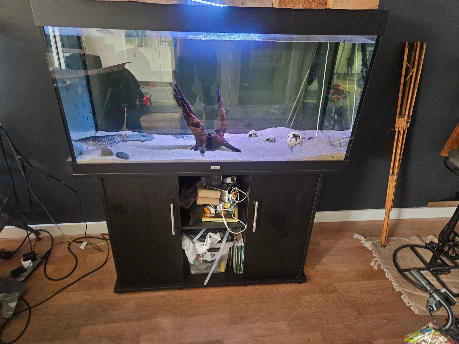 groot aquarium, Dieren en Toebehoren, Ophalen, Gebruikt, Gevuld zoetwateraquarium
