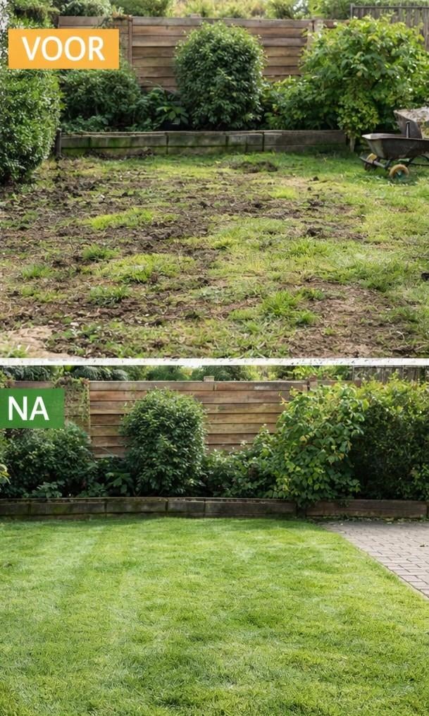 Grasmatten voor een prachtig groen gazon, Tuin en Terras, Gras en Kunstgras, Ophalen, Nieuw, 10 tot 20 m², Gras