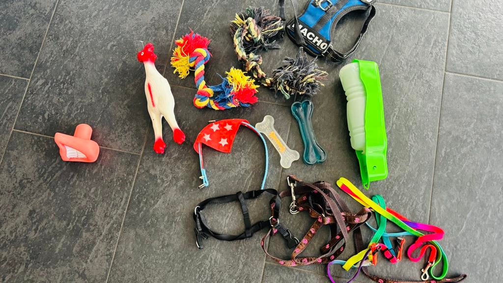 Leuke dj gen voor een hond, Dieren en Toebehoren, Honden-accessoires, Ophalen of Verzenden, Gebruikt