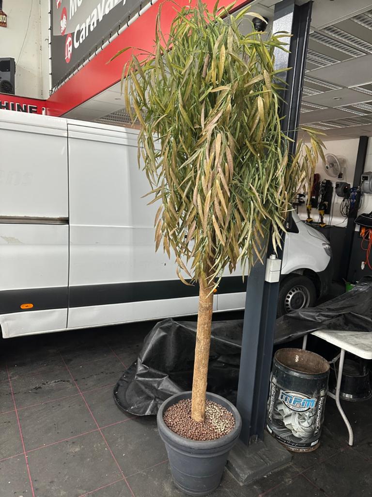Grote kunstplant kunstboom, Ophalen, Onderhoudsvrij, Kunstplant, Kunststof