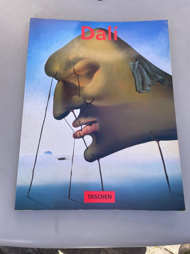 Dali Kunstboek - Taschen Editie (96 pagina's), Boeken, Ophalen of Verzenden, Gelezen, Schilder- en Tekenkunst