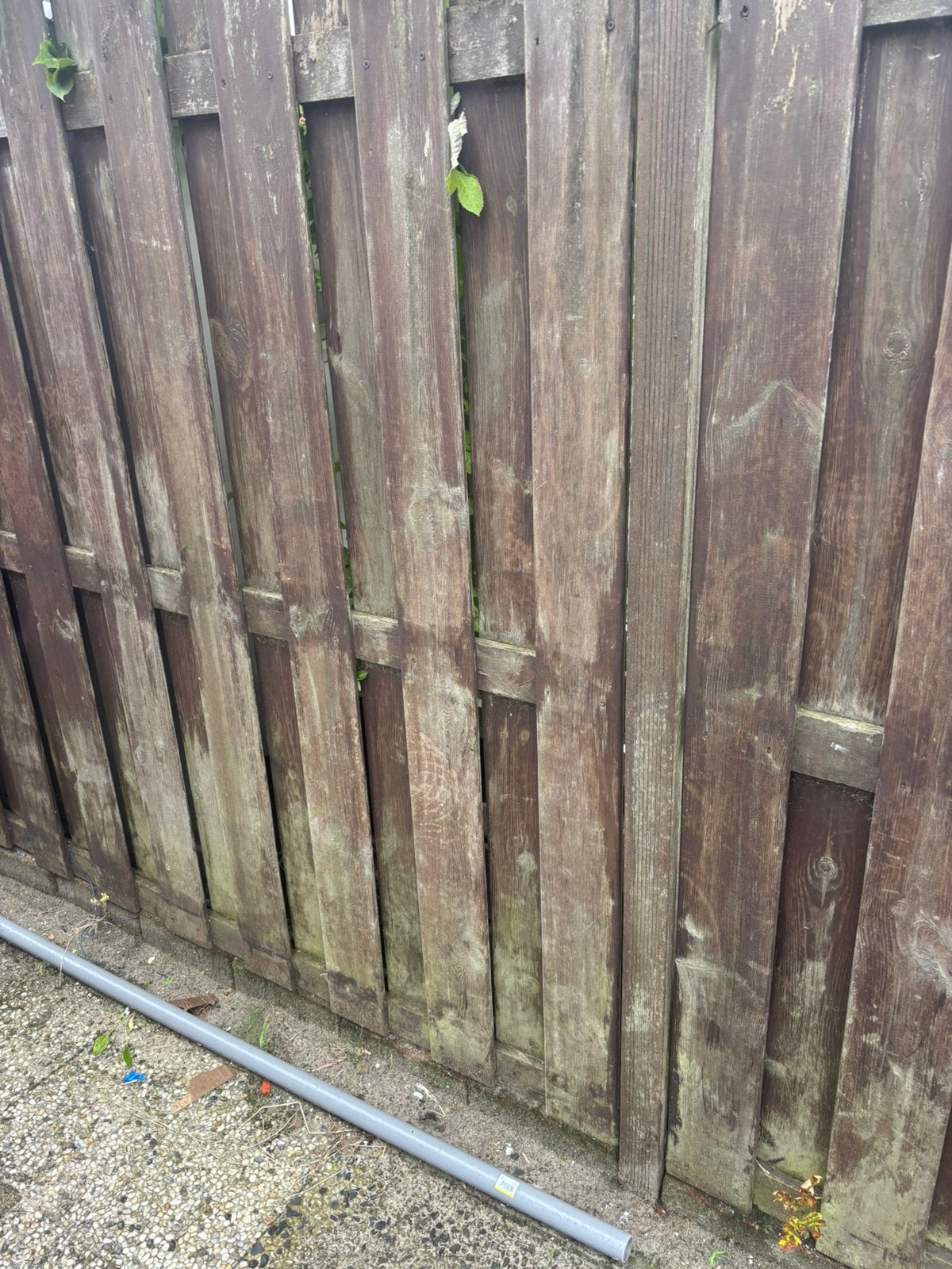 Gratis Tuinschutting incl poort, 6 meter of meer, Ophalen of Verzenden, Hout, 1 tot 2 meter
