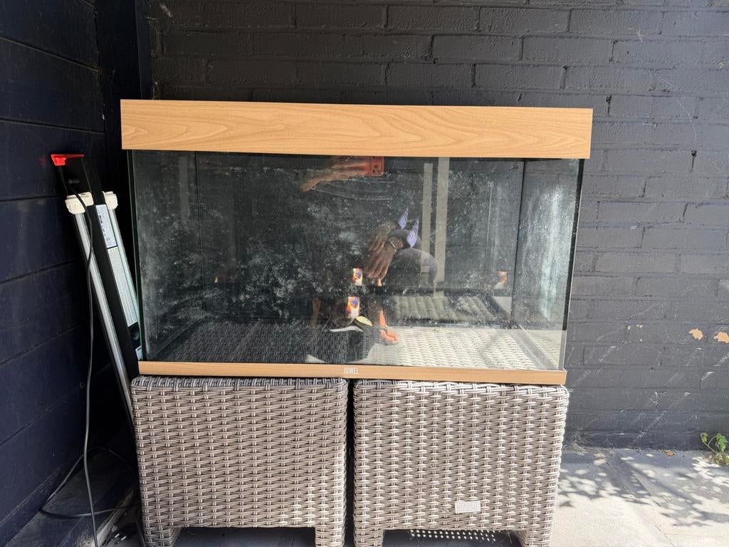 JUWEL Aquarium Rio 125L, Dieren en Toebehoren, Ophalen, Zo goed als nieuw, Leeg aquarium, Juwel
