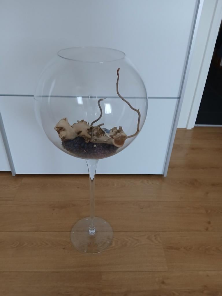 glazen vaas op voet, Overige kleuren, Ophalen of Verzenden, 75 cm of meer, Glas