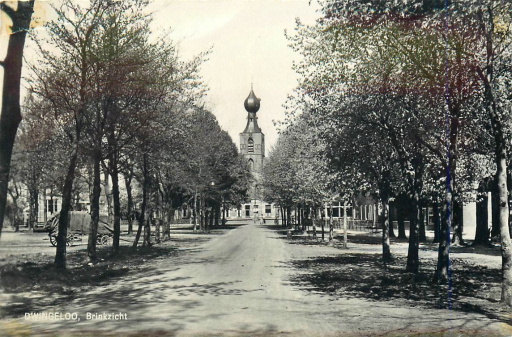 701-203-029 Dwingeloo Brinkzicht, Verzenden, Voor 1920, Drenthe