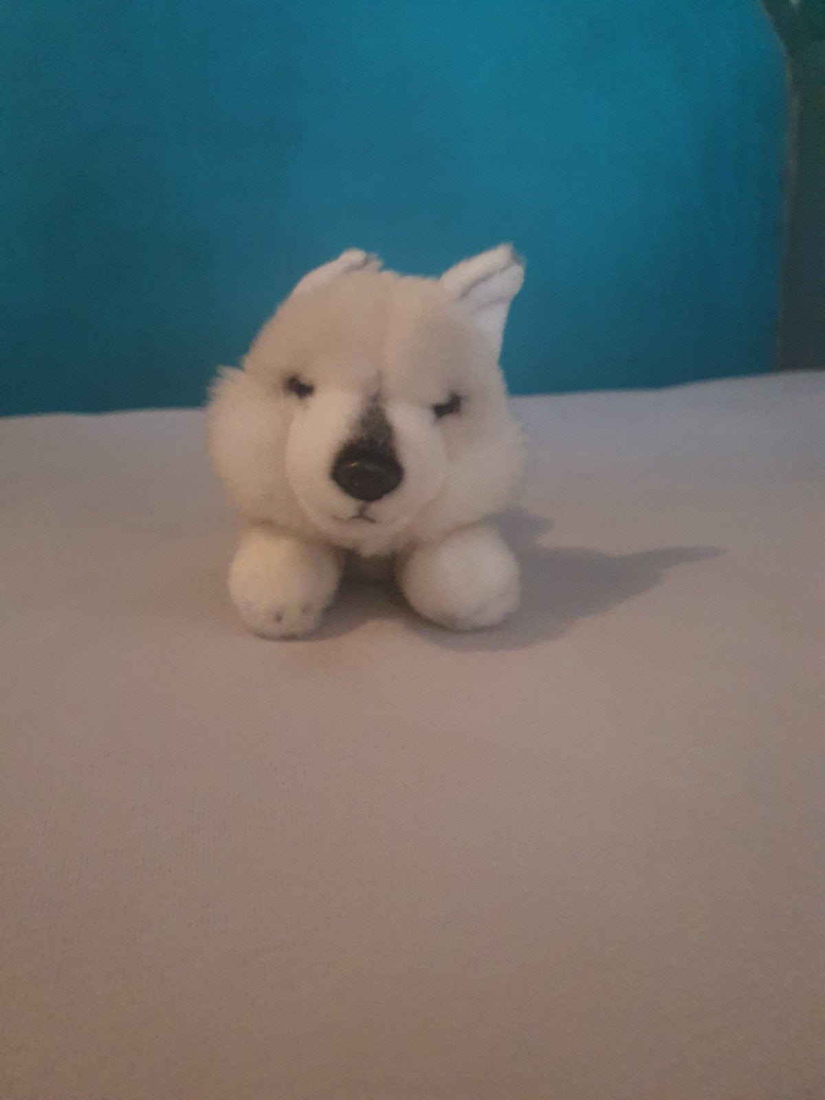 Schattige zachte wolf knuffel - perfect voor kinderen, Ophalen, Overige typen, Zo goed als nieuw, Middelgroot (20 tot 80 cm)