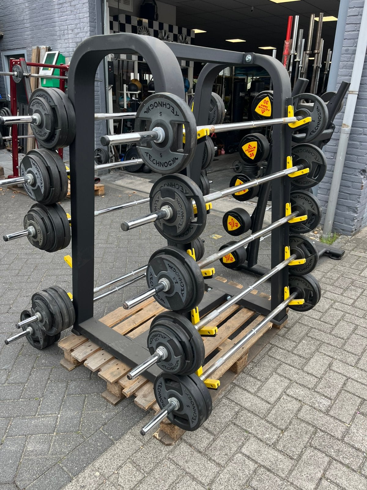 Technogym 10 x vaste halter stang 17,5-40 kg gewicht
