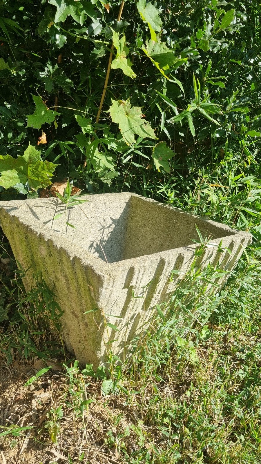 vintage Betonnen bloembak voor tuin of terras, Tuin en Terras, Ophalen, Gebruikt, Vierkant, Balkon