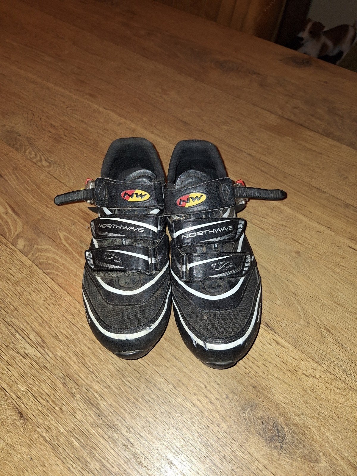 wielrenschoenen/fietsschoenen maat 41, Ophalen of Verzenden, Gebruikt, Schoenen