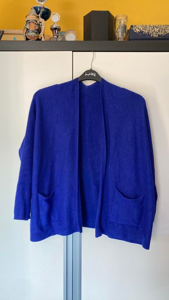 Vestje nieuw kobaltblauw maat L, Ophalen of Verzenden, Zo goed als nieuw, Blauw