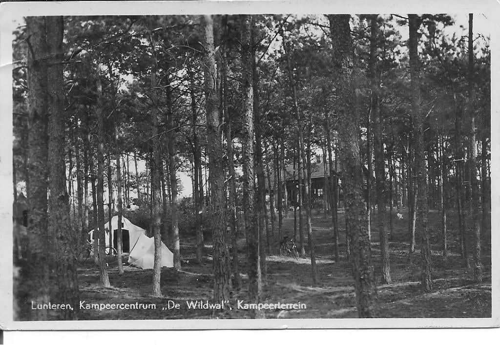 Lunteren Kampeercentrum De Wildwal, Ophalen of Verzenden, 1940 tot 1960, Gelopen, Gelderland