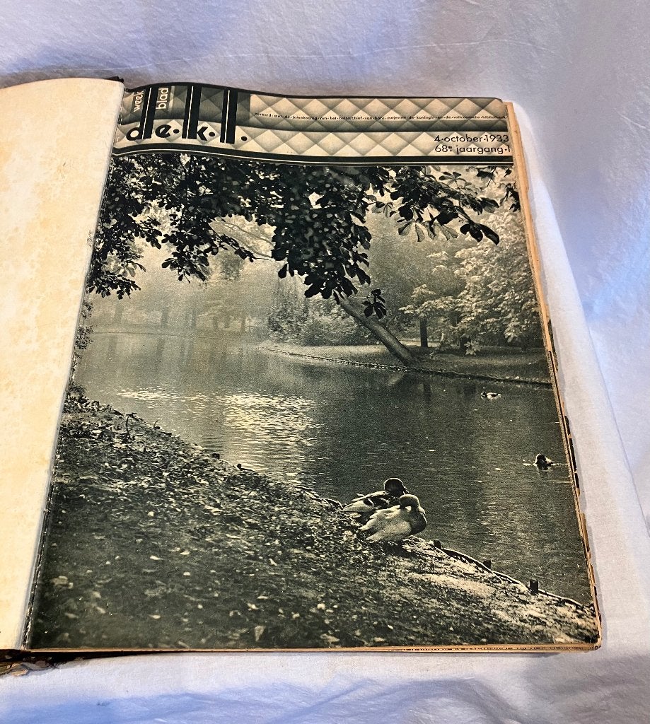 Katholieke Illustratie, bundel 1933, Ophalen, Gelezen, Overige typen