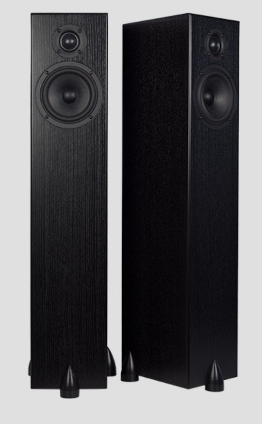 TOTEM acoustics BISON Tower, Vloerstaande luidspreker, Zo goed als nieuw, 60 tot 120 watt, Ophalen