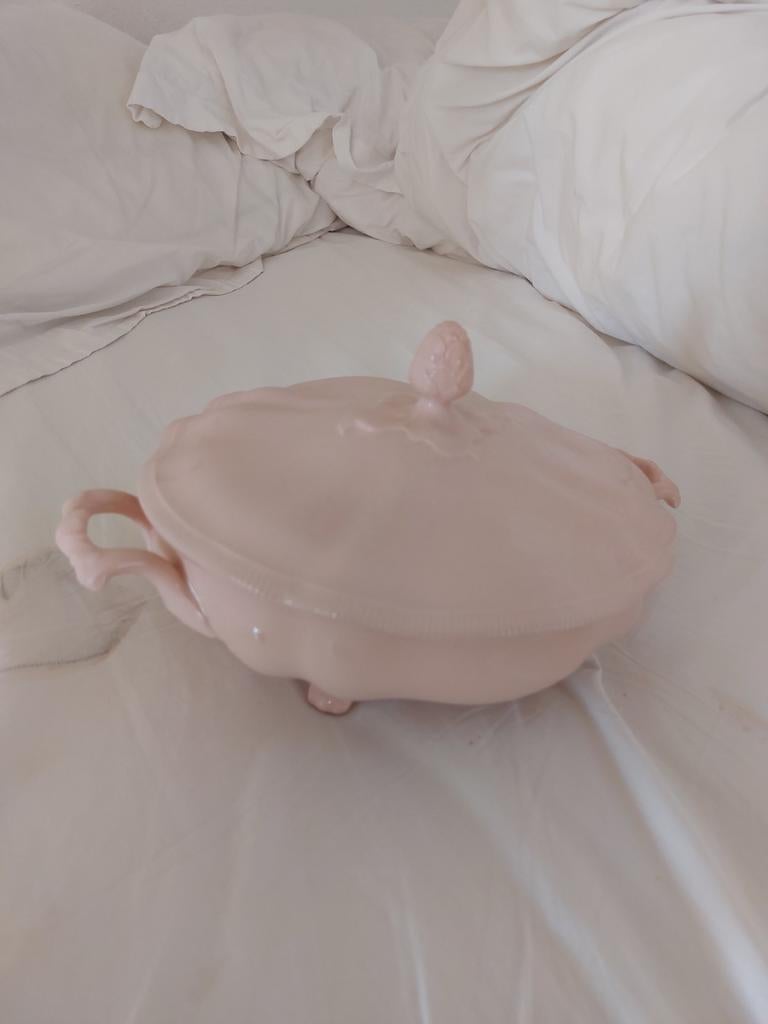 Vintage Johnson Bros Rose Dawn Terrine met Deksel, Ophalen of Verzenden