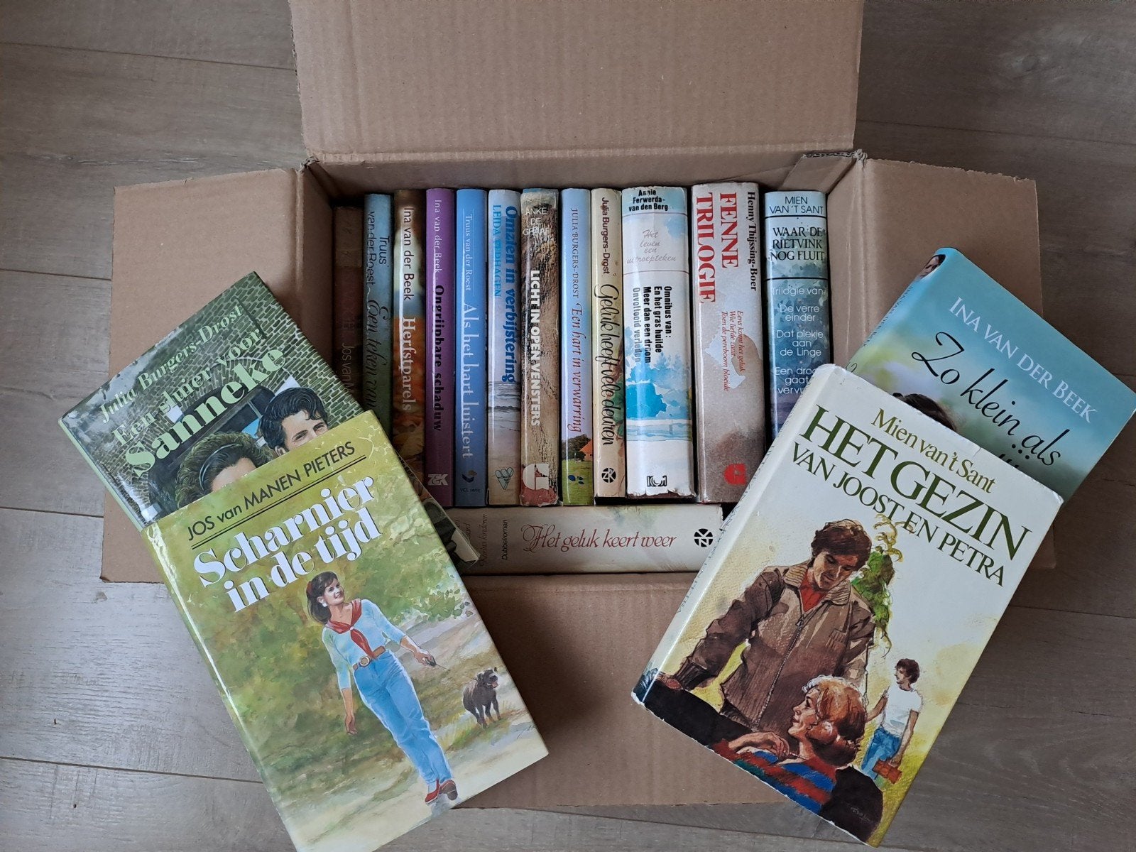 Doos vol streekromans. 17 boeken/24 titels, Boeken, Ophalen of Verzenden, Gelezen, Noord-Brabant