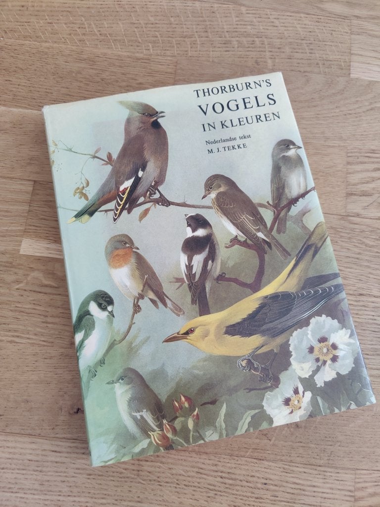 Thorburn's Vogels in kleuren, Gelezen, Archibeld Thorburn, Ophalen of Verzenden, Vogels