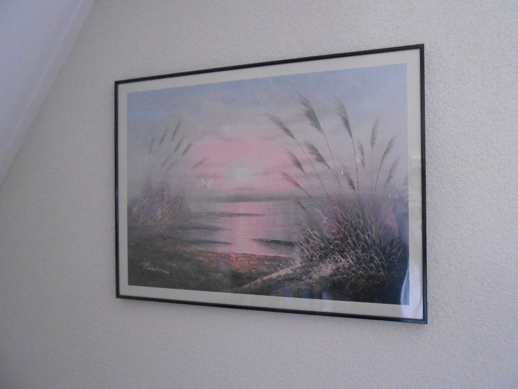 Mooi schilderij, Huis en Inrichting, Woonaccessoires | Schilderijen, Tekeningen en Foto's, Ophalen, 50 – 75, Gebruikt, Schilderij