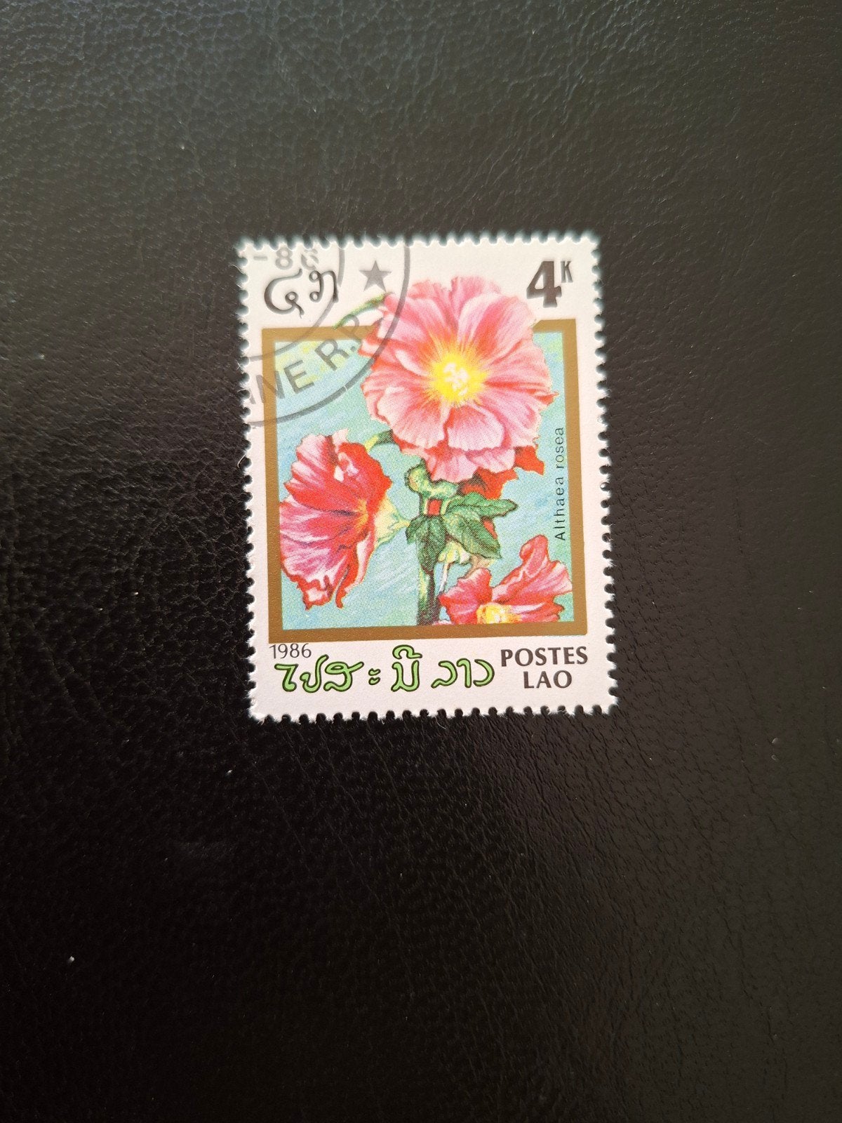 Bloemen.  Laos, Ophalen of Verzenden, Dier of Natuur