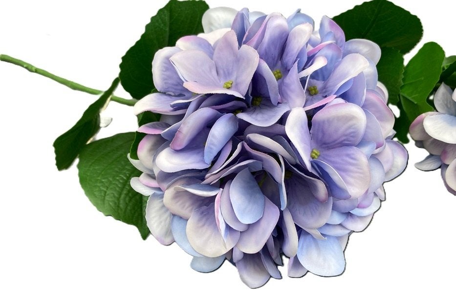 Prachtige Zijden Hortensia’s 70 cm – Altijd in Bloei!, Paars, -, Kunstbloem, Nieuw