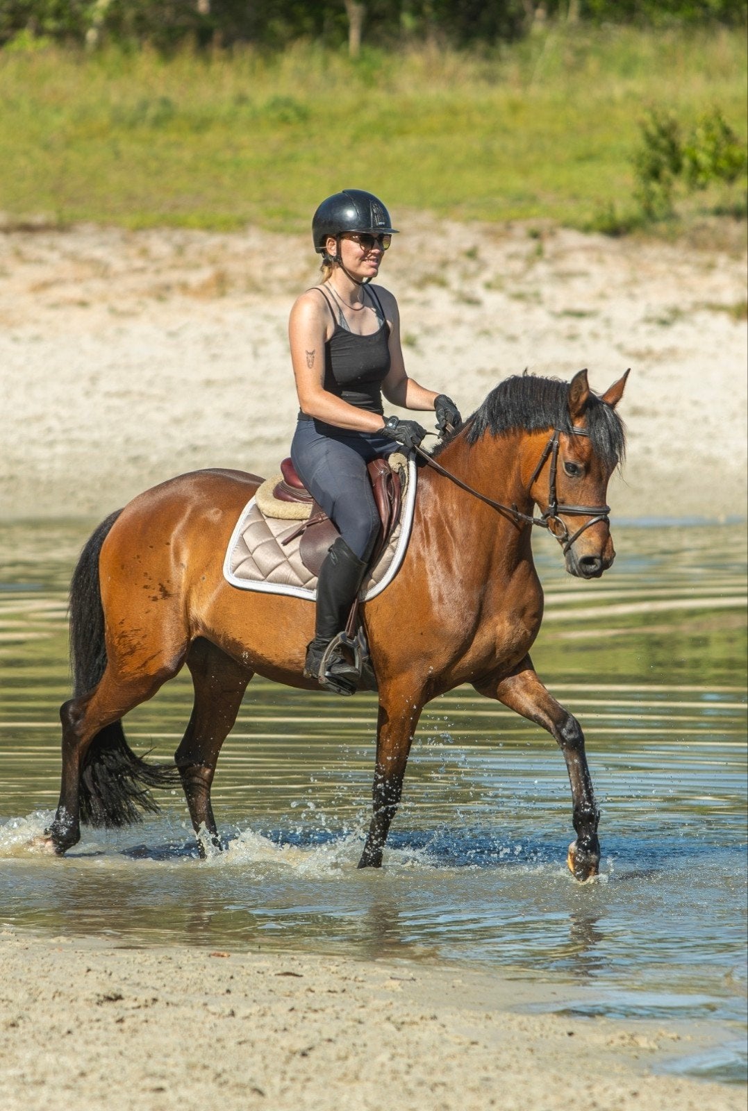 Allround D pony merrie, Merrie, Met stamboom, 3 tot 6 jaar, L