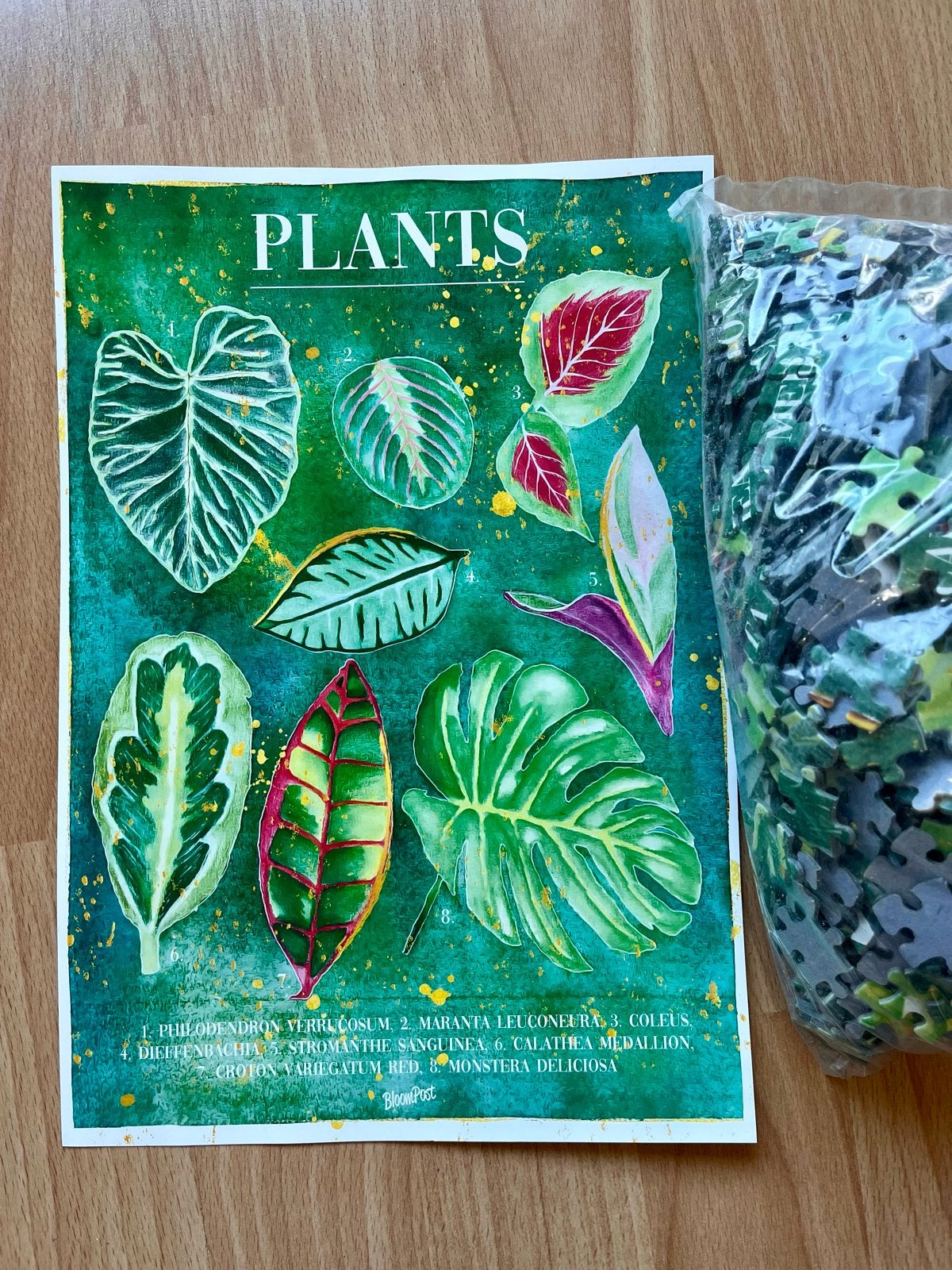 Planten Puzzel - 1000 stukjes, Ophalen of Verzenden, 500 t/m 1500 stukjes, Nieuw, Legpuzzel