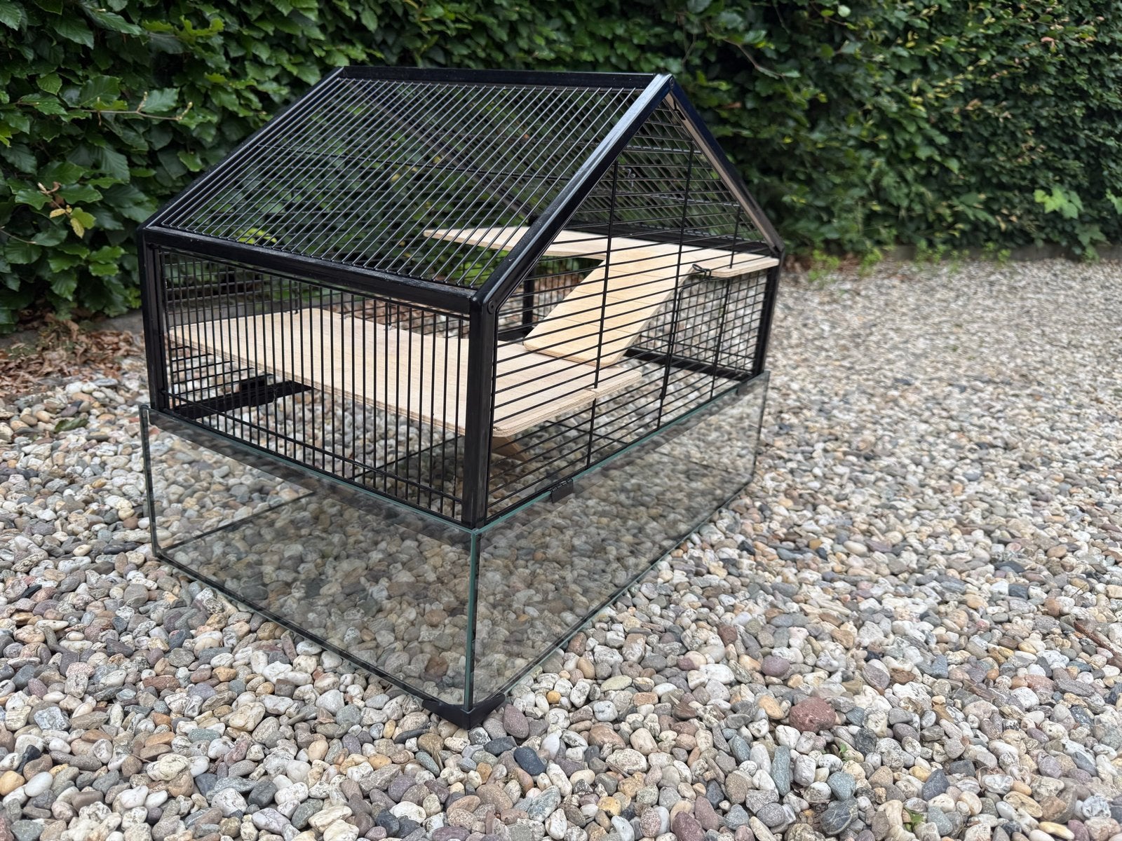 Stijlvolle hamsterkooi, Minder dan 60 cm, Kooi, Gebruikt, Minder dan 75 cm