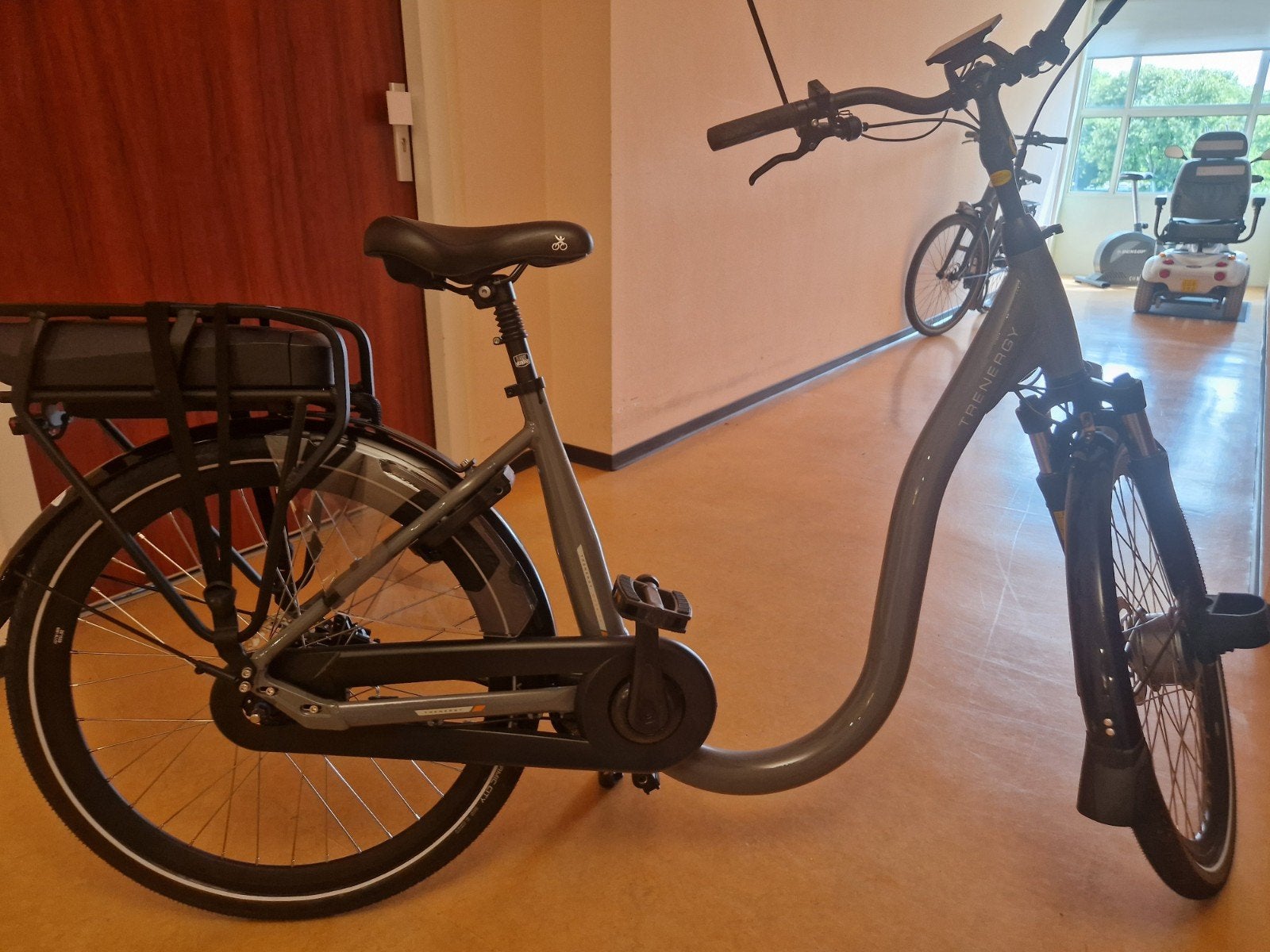 Trenergy elektrische fiets, Ophalen, Overige merken