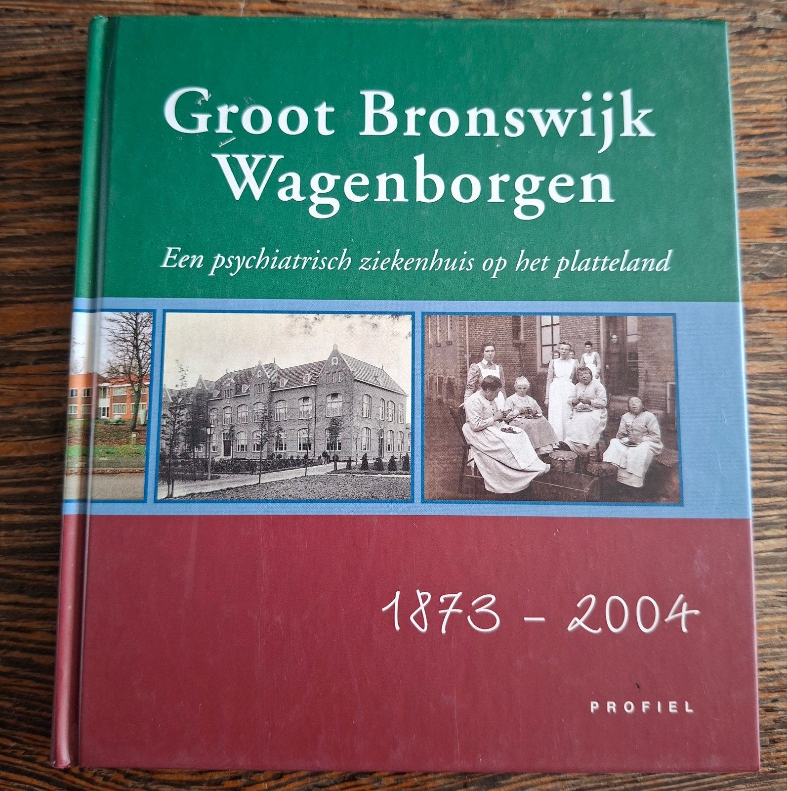 Groot Bronswijk Wagenborgen: Psychiatrische ziekenhuis, 20e eeuw of later, Renze Schuurmans, Ophalen of Verzenden, Zo goed als nieuw