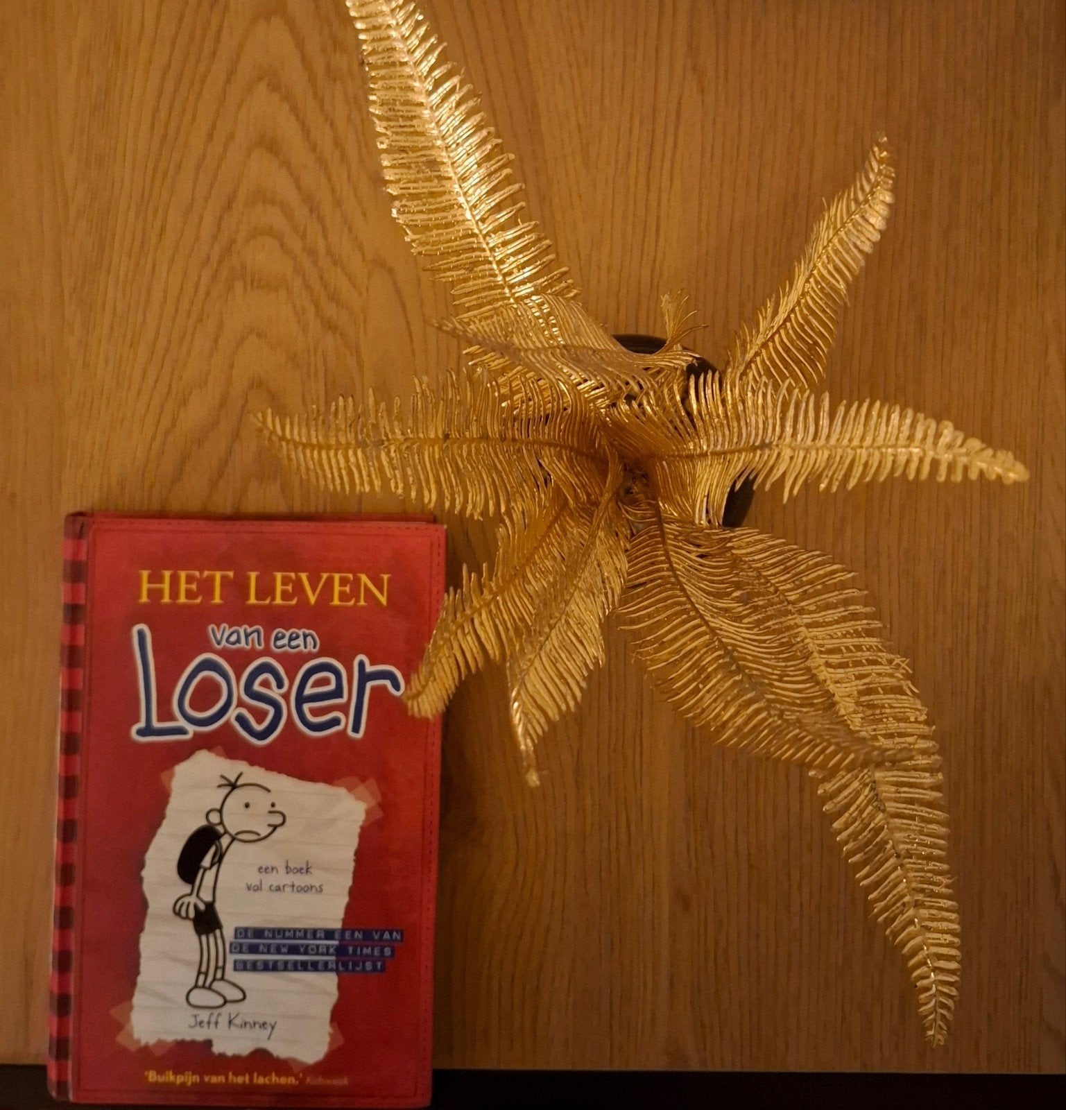 Jeff Kinney - Het leven van een Loser, Ophalen of Verzenden, Zo goed als nieuw, Jeff Kinney