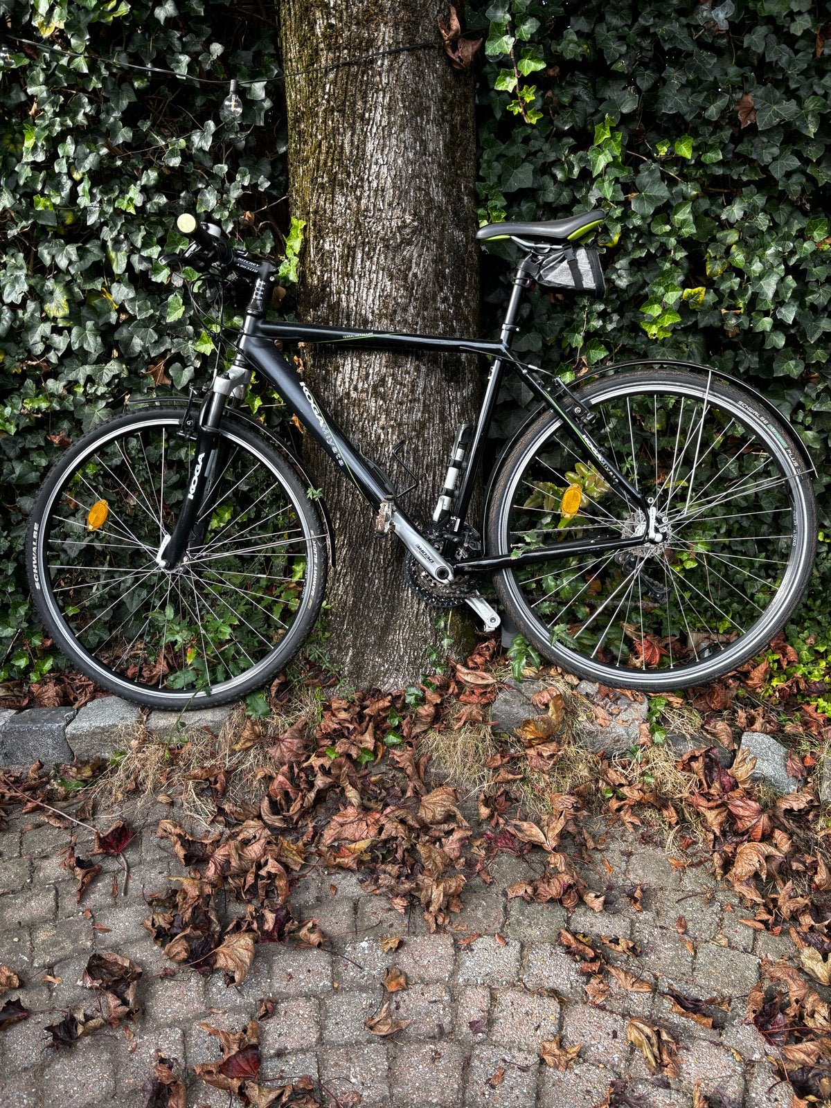 Koga Terraliner Alloy, Ophalen, Velgrem, Versnellingen, Zo goed als nieuw