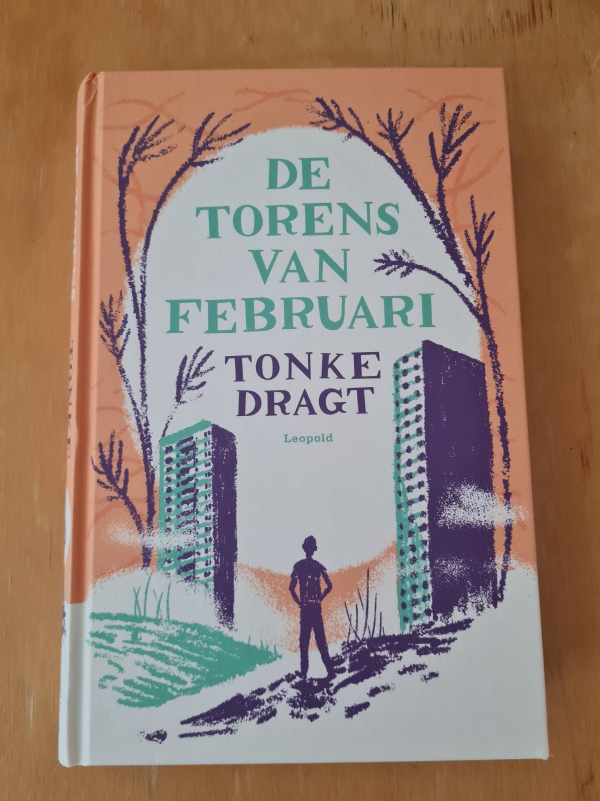 Tonke Dragt - De torens van februari, Ophalen of Verzenden, Zo goed als nieuw, Tonke Dragt