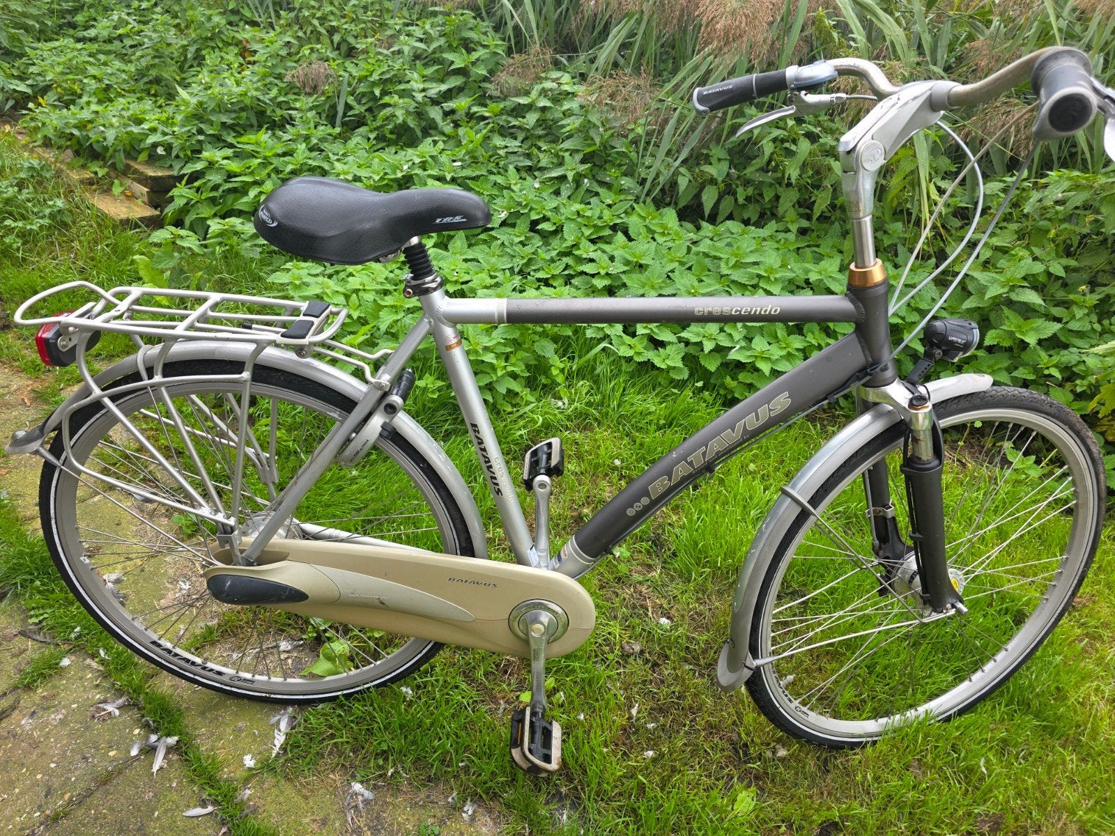 Batavus Crescendo, Fietsen en Brommers, Ophalen, Gebruikt, Velgrem, Versnellingen