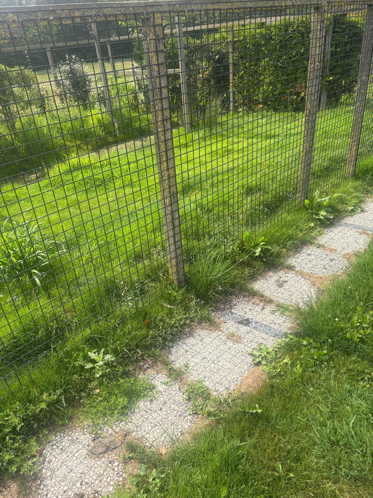Gebruikt gaashekwerk voor diverse toepassingen, Ophalen, Gebruikt, 20 meter of meer, Gaas