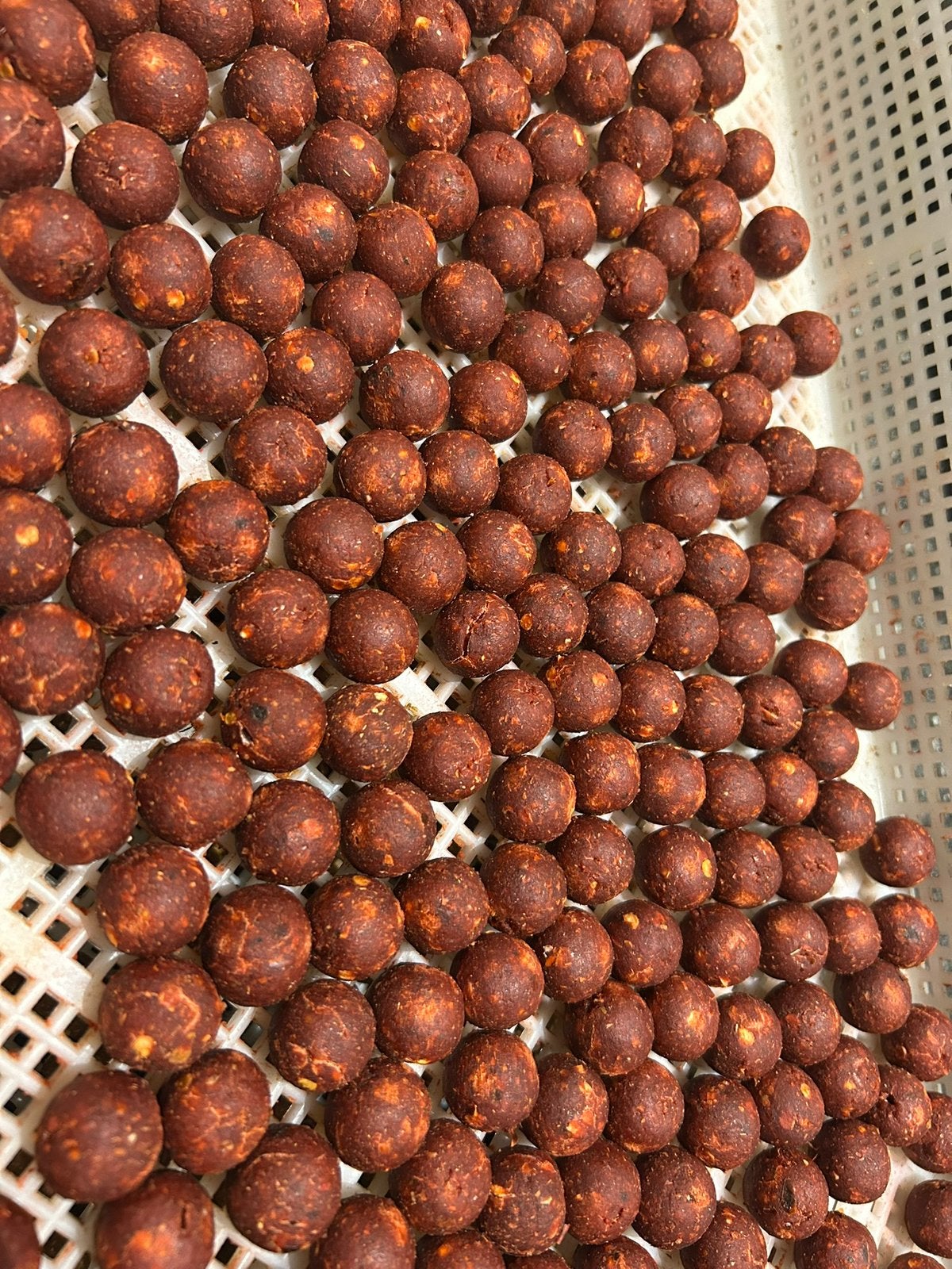Ultra spice boilies🌶️🌶️🌶️🌶️, Ophalen of Verzenden, Nieuw, Overige typen