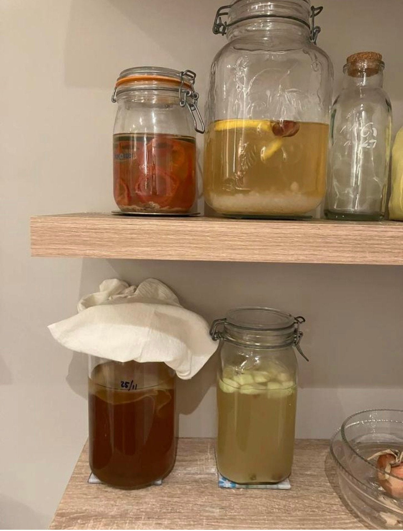 Kefir, melkkefir, kombucha scoby, waterkefir, Ophalen of Verzenden