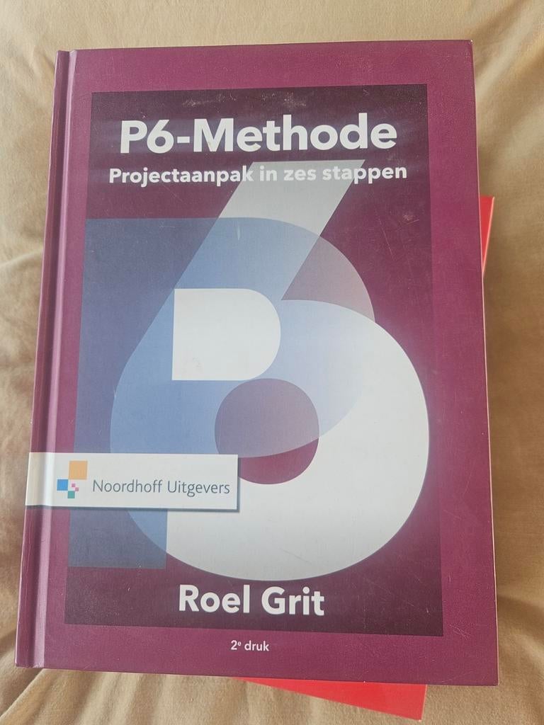 P6-Methode Projectaanpak in zes stappen, Ophalen of Verzenden