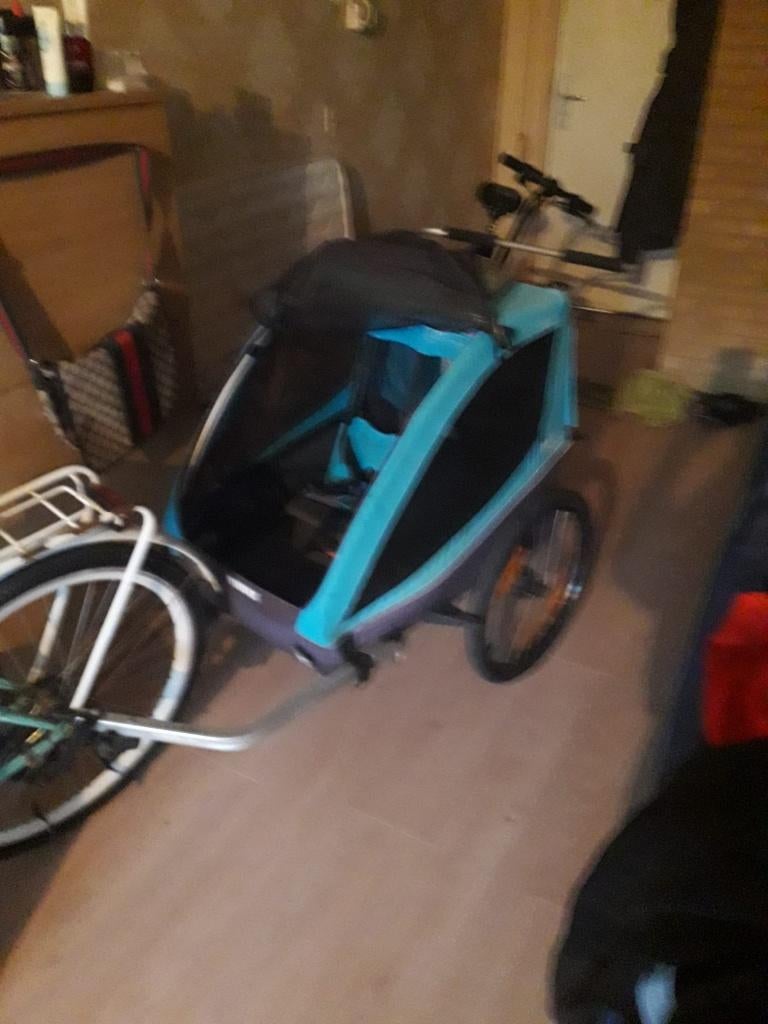Fietskar, Fietsen en Brommers, Fietsaccessoires | Aanhangers en Karren, Ophalen, Gebruikt, 20 tot 40 kg, Thule Yepp