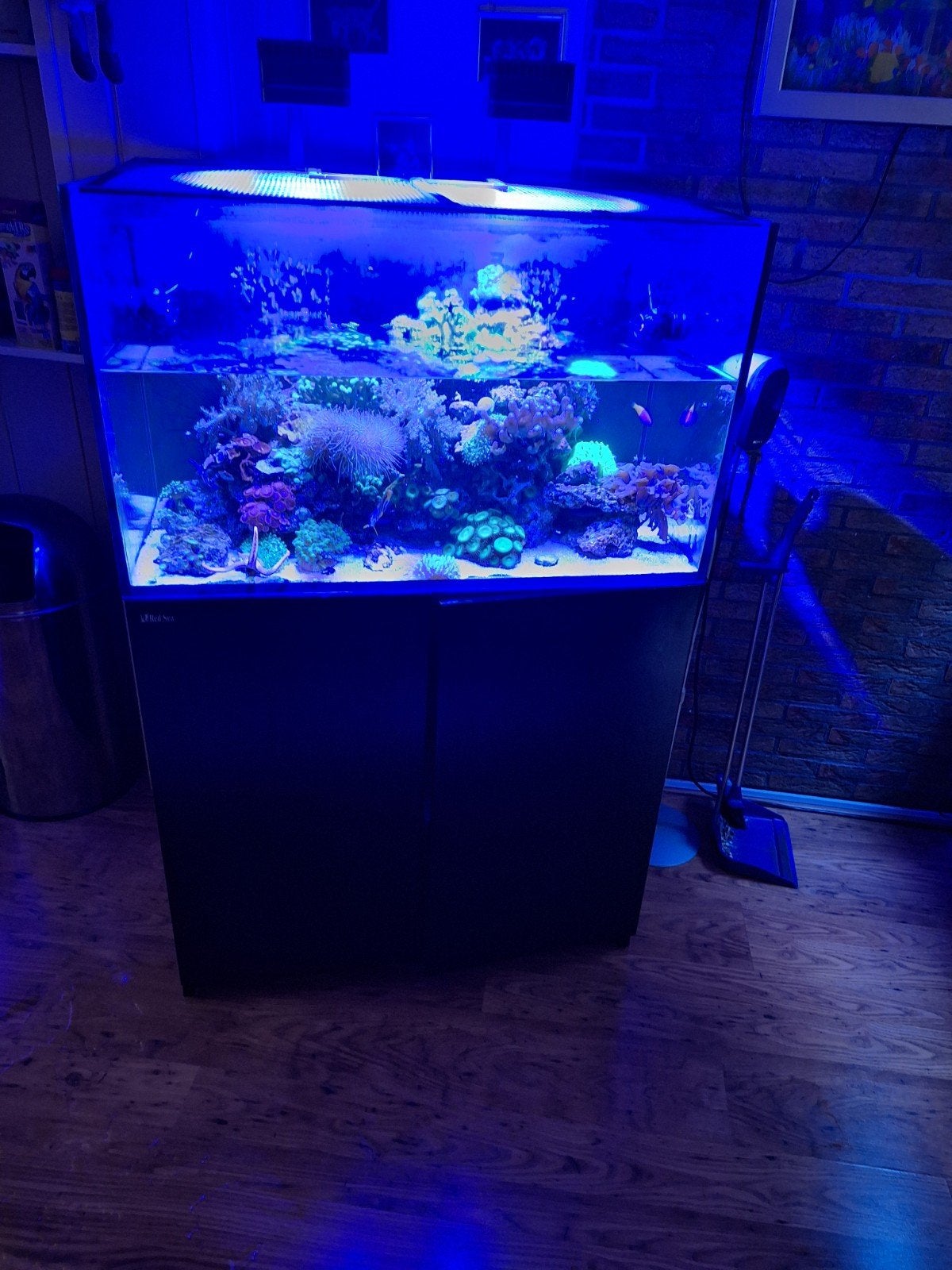 gezocht zeeaquarium 250l, Ophalen, Leeg aquarium