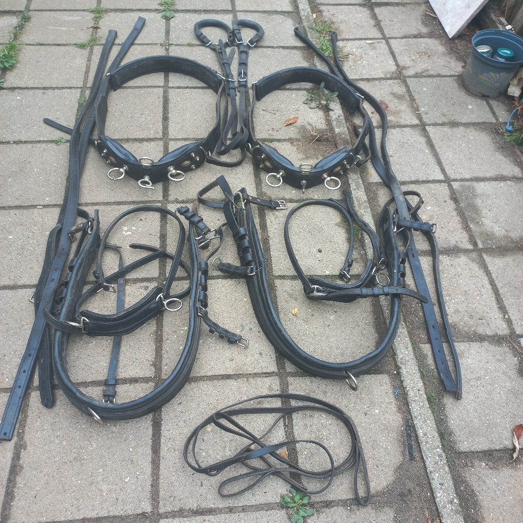 tweespantuig, Gebruikt, Recreatie, Ophalen of Verzenden, Zwart