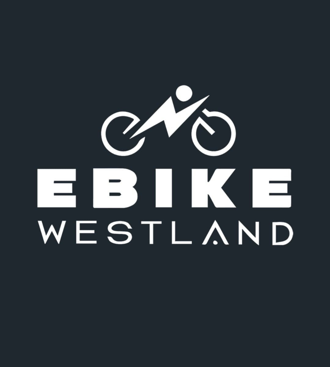Stella Livorno Easy FDST Blue Elektrische Fiets *NIEUWSTAAT*, Fietsen en Brommers, Fietsen | Dames | Damesfietsen, Overige merken