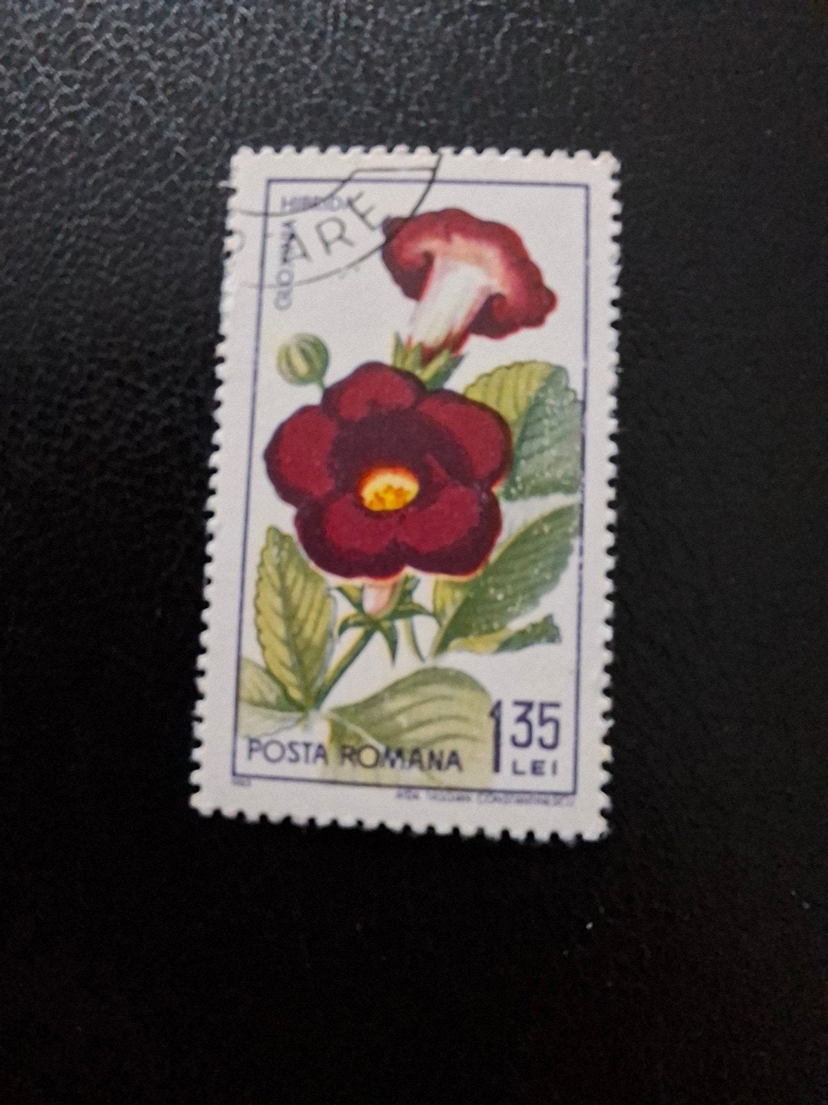 Bloemen.  Roemenië, Ophalen of Verzenden, Dier of Natuur