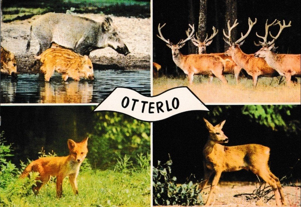 Otterlo                 620, Ophalen of Verzenden, Voor 1920