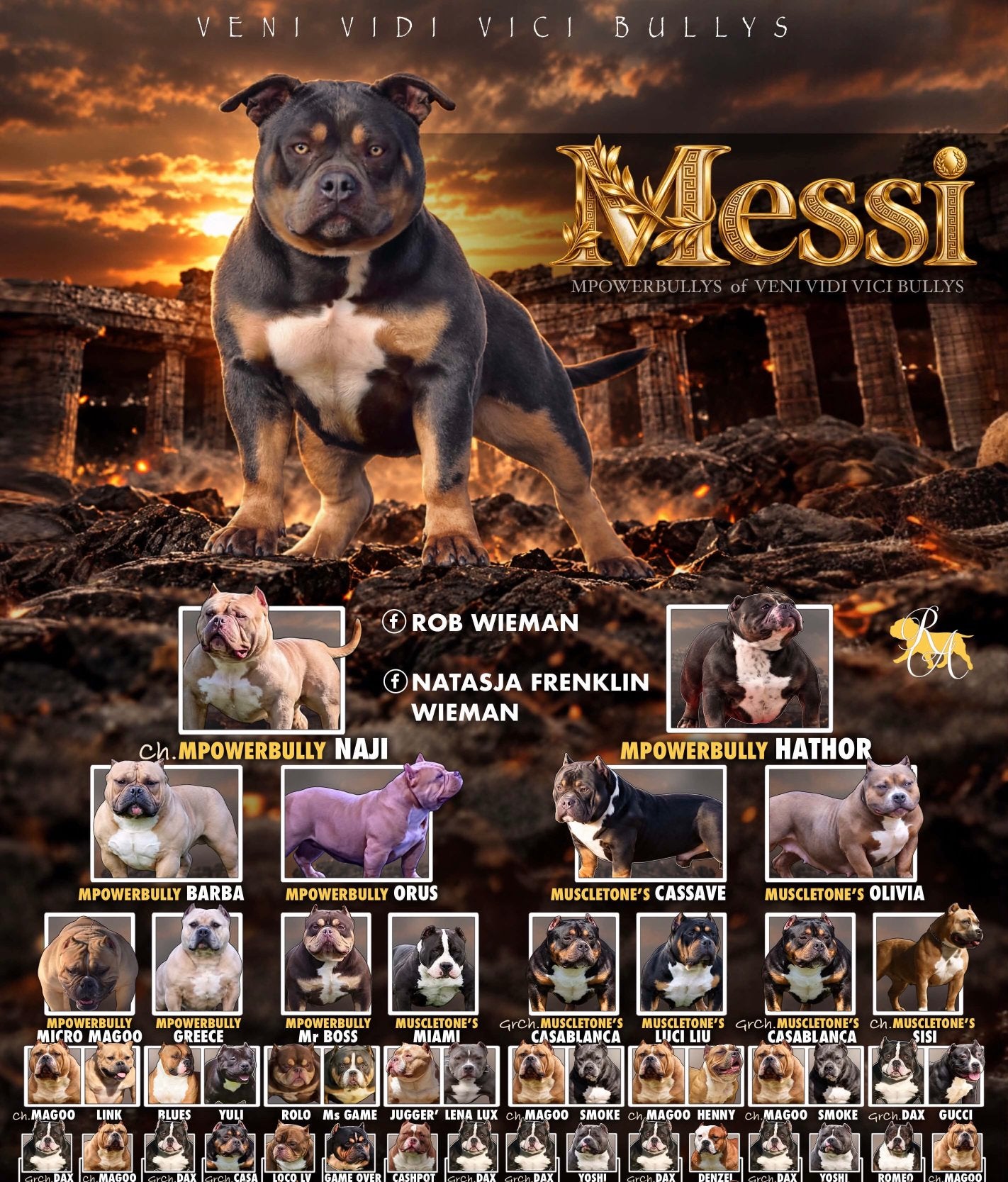 ❤️American Bully pups Kampioen lijnen op gezondheid gefokt❤️, Dieren en Toebehoren, Overige rassen, 8 tot 15 weken, Meerdere, Meerdere dieren
