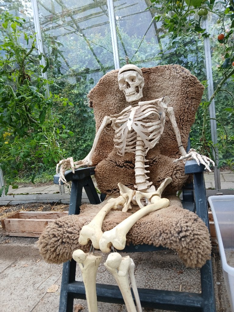 Skelet van kunststof, Ophalen, Gebruikt, Overige typen, Halloween of Griezel
